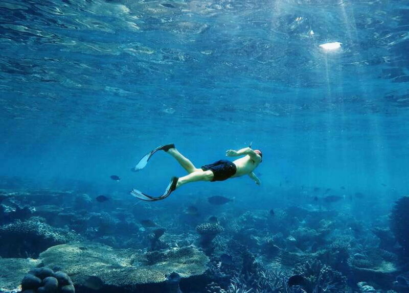 Ko Lanta: Snorkeling Adventure Tour to Koh Rok and Koh Haa - The Experience You Can Expect