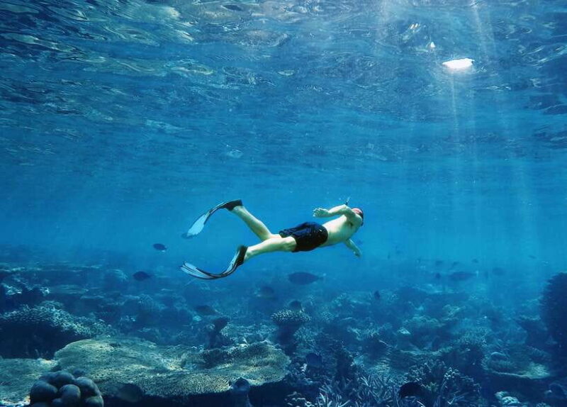 Ko Lanta: Snorkeling Adventure Tour to Koh Rok and Koh Haa - Snorkeling Spots