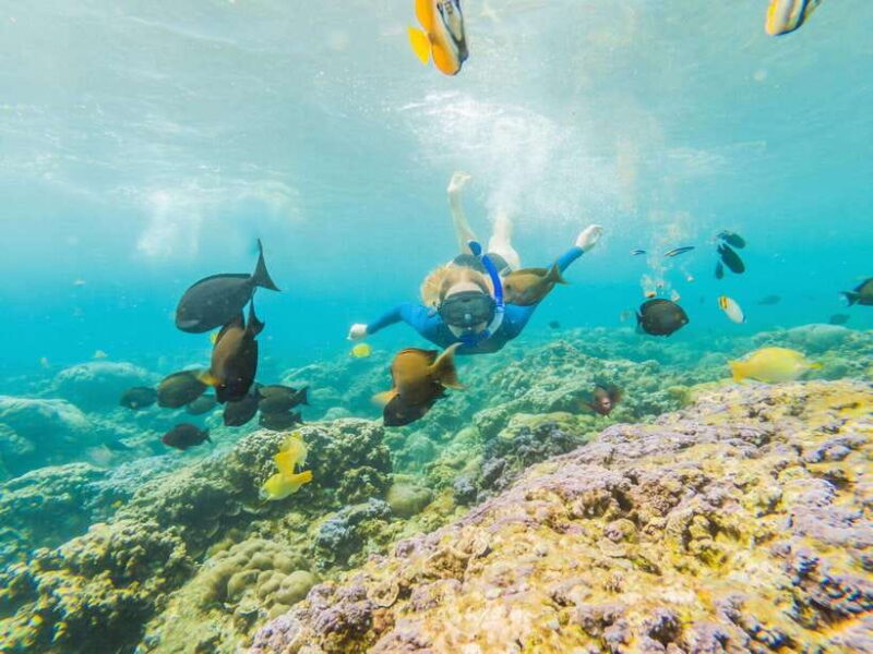 Ko Lanta: Snorkeling Adventure Tour to Koh Rok and Koh Haa - Lunch on Koh Rok
