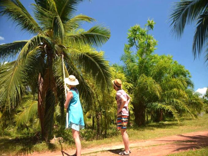 Ko Lanta: The Mangroves By Private Luxury Gondola - Recap