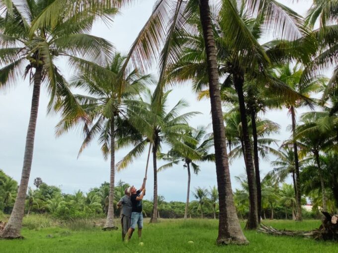Ko Lanta: Tung Yee Peng Village Eco-Tour With Lunch/Dinner - Frequently Asked Questions
