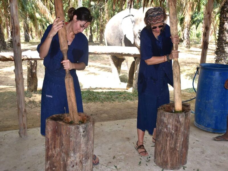 Ko Lanta Yai: Half-Day Ethical Elephant Sanctuary Tour - Key Points