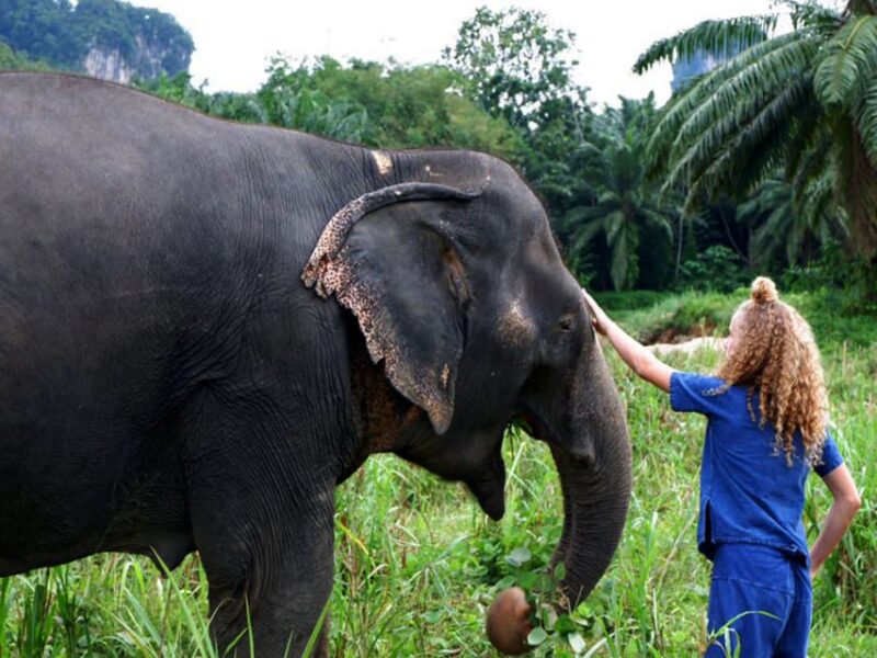 Ko Lanta Yai: Half-Day Ethical Elephant Sanctuary Tour - Experience Highlights