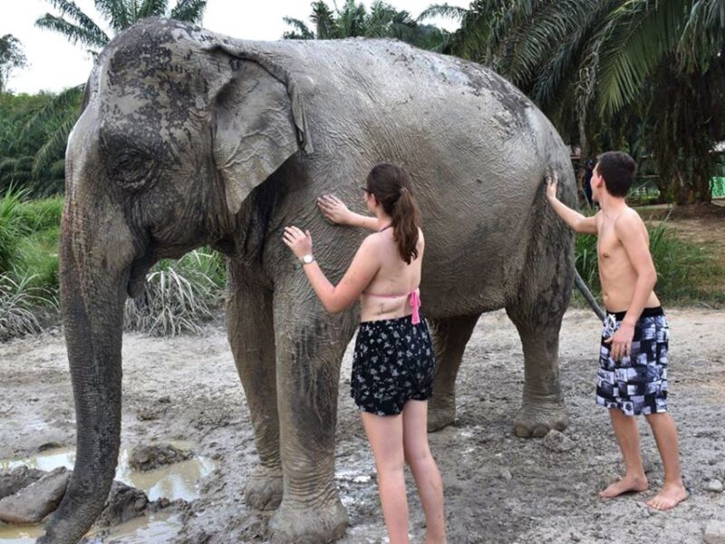 Ko Lanta Yai: Half-Day Ethical Elephant Sanctuary Tour - Important Information
