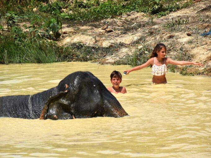 Ko Lanta Yai: Half-Day Ethical Elephant Sanctuary Tour - Bathing and Brushing