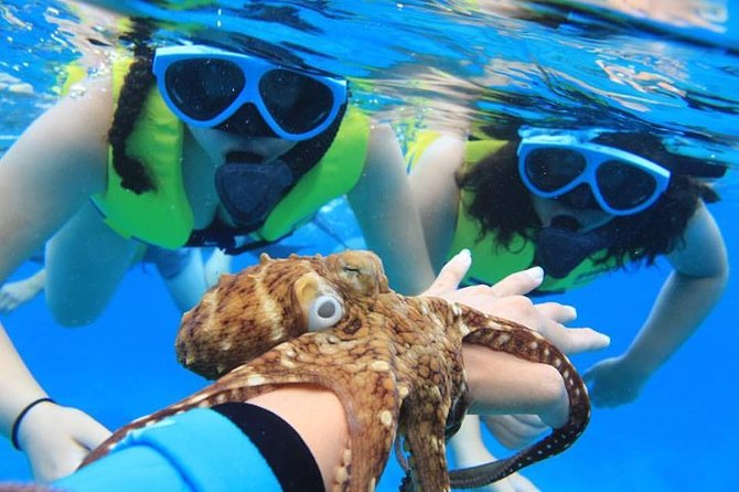 Ko Olina Catamaran Sail and Snorkel - Logistics