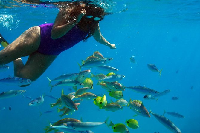 Ko Olina Catamaran Sail and Snorkel - Cancellation Policy