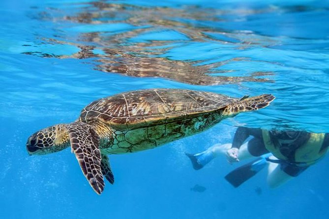 Ko Olina Catamaran Sail and Snorkel - Reviews