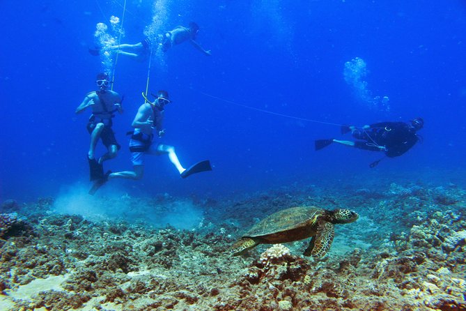 Ko Olina Catamaran Sail and Snorkel - Additional Information