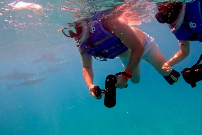 Ko Olina Sea Turtle Snorkeling Tour With Jet Scooters - Customer Feedback: Positive Experiences