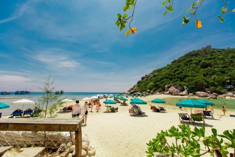Ko Pha Ngan: Koh Tao & Koh Nangyuan Snorkeling Adventure - A Practical Look at the Koh Pha Ngan: Koh Tao & Koh Nangyuan Snorkeling Adventure