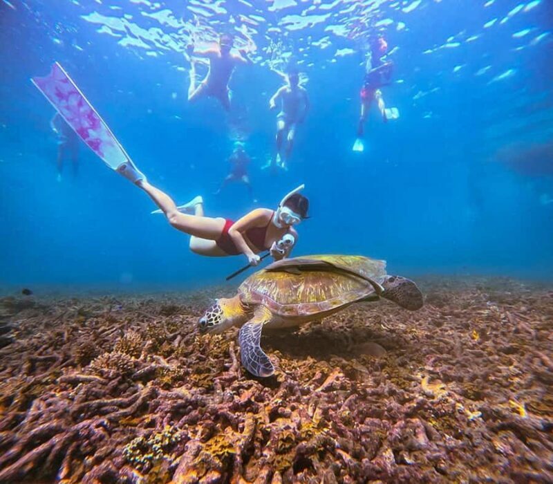 Ko Pha Ngan: Koh Tao & Koh Nangyuan Snorkeling Adventure - Key Points