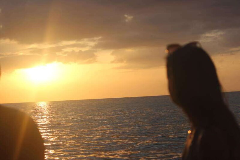 Ko Phi Phi Don: Speedboat Day Trip With Shark Snorkeling - Itinerary and Activities