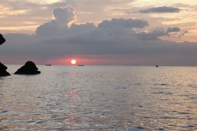 Ko Phi Phi Don: Speedboat Day Trip With Shark Snorkeling - Shark and Turtle Sightings