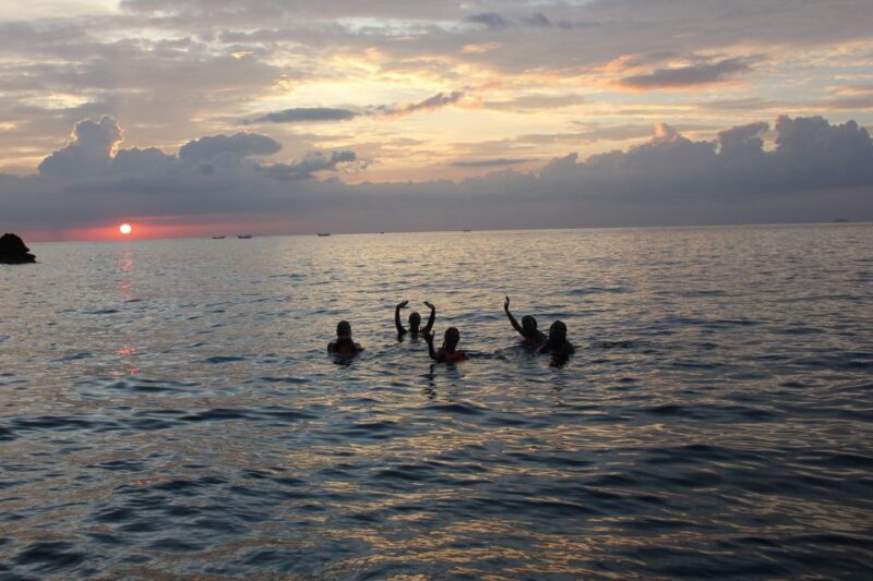 Ko Phi Phi Don: Speedboat Day Trip With Shark Snorkeling - Snorkeling and Wildlife