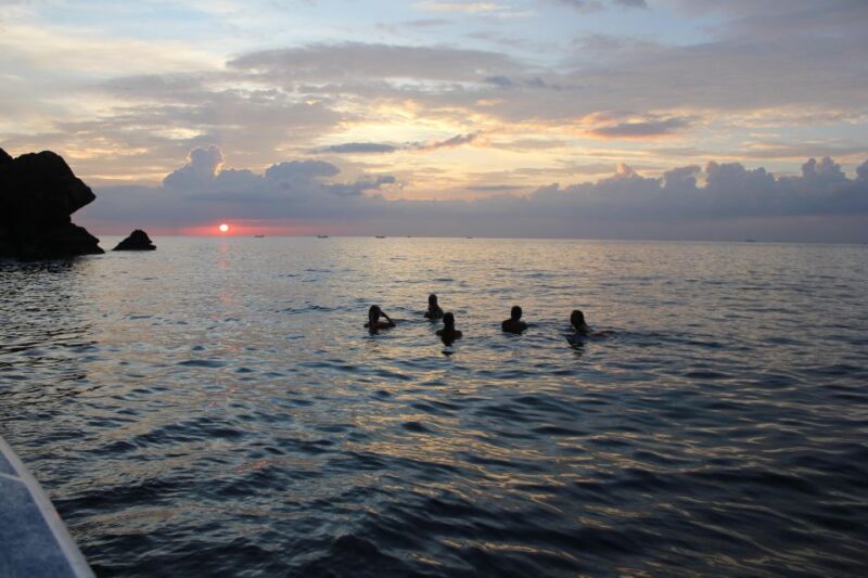 Ko Phi Phi Don: Speedboat Day Trip With Shark Snorkeling - Guide and Transportation
