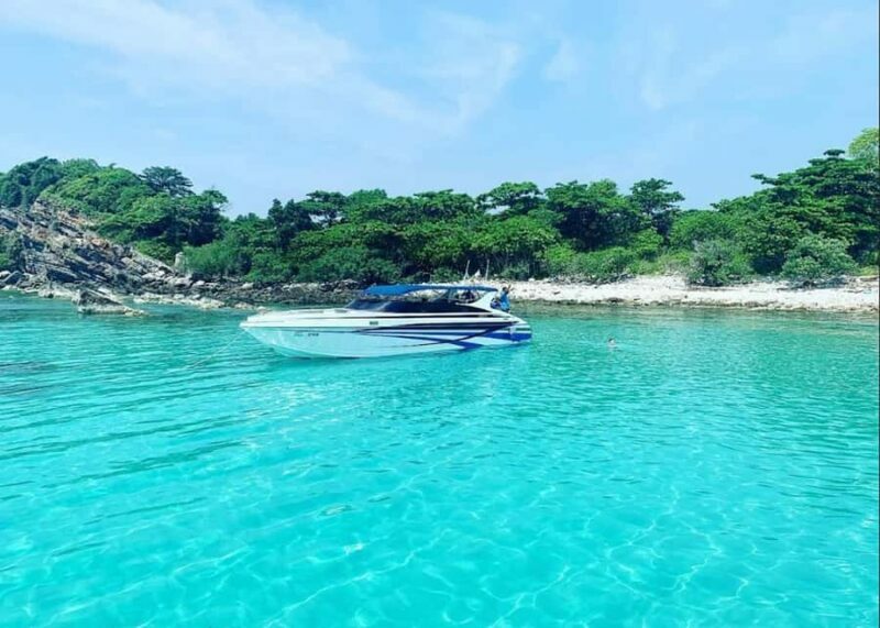 Ko Samui: Pig Island Snorkeling and Koh Tan Speedboat Tour - A Detailed Look at the Tour Experience