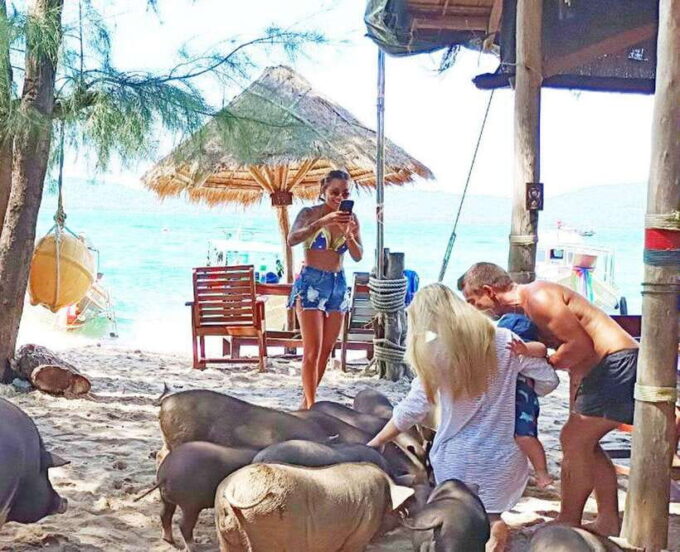 Ko Samui: Pig Island Snorkeling and Koh Tan Speedboat Tour - Preparing for the Speedboat Journey