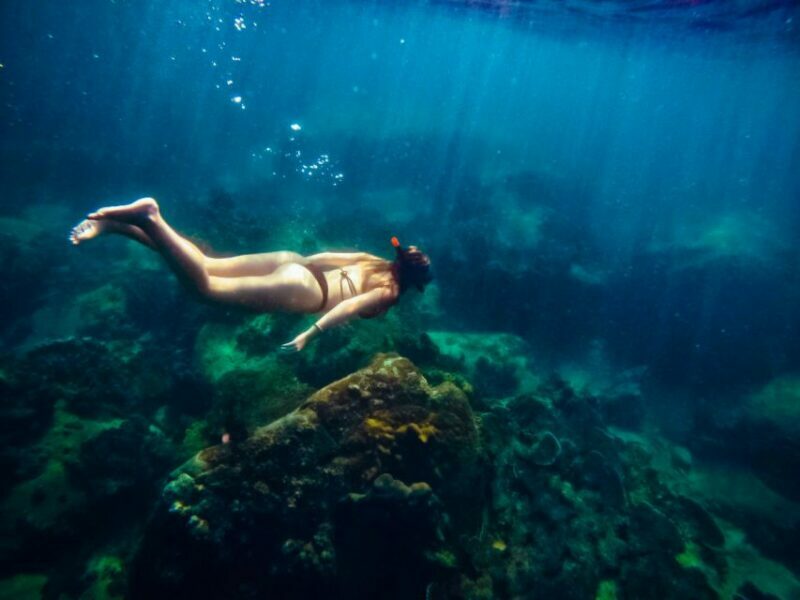 Ko Tao: Late Riser Snorkeling Tour with Lunch and Photos - FAQ