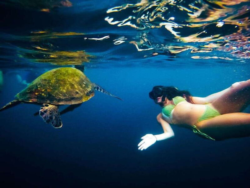 Ko Tao: Late Riser Snorkeling Tour With Lunch and Photos - What to Expect and Prepare For
