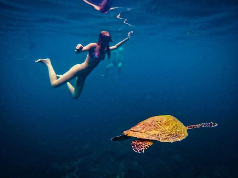 Ko Tao: Late Riser Snorkeling Tour With Lunch and Photos - Customer Feedback and Experiences