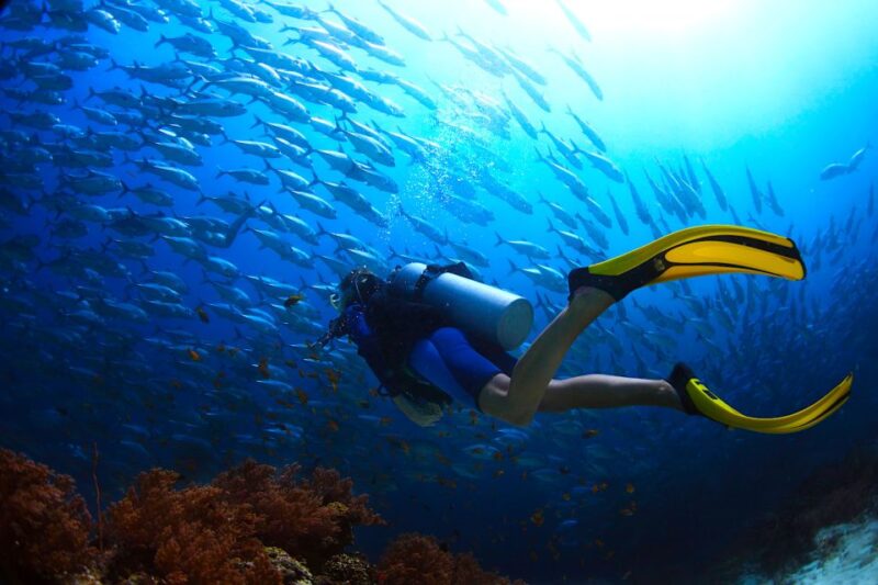Ko Tao: Open Water Scuba Diving 4-Day Course - Cancellation and Booking