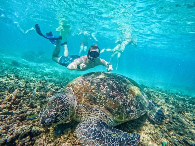 Ko Tao: Snorkeling Day Trip to Koh Nang Yuan With Meals - Important Information