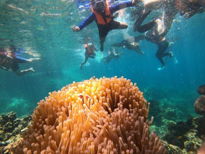 Ko Tao: Snorkeling Tour to Hidden Bays and Nang Yuan Island - Customer Reviews