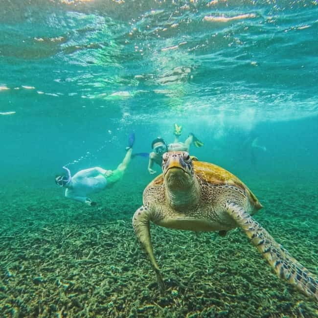 Ko Tao: Tao-Nangyuan Snorkeling Day Trip with Meals & Sunset - Final Thoughts