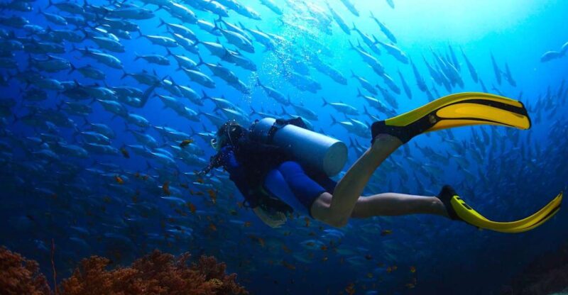 Ko Tao: Try Scuba Diving 1-Day Experience - Meeting Point and Requirements