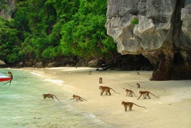 Ko Yao: Private Phi Phi and Bamboo Island Speedboat Tour - Inclusions