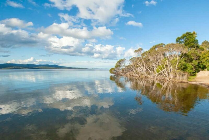 Koalas, Kangaroos and Lyrebirds - An In-Depth Look at the Experience