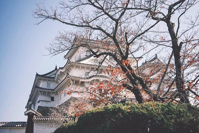 Kobe and Himeji A Journey Through Culture and History - Accessibility Considerations for the Tour