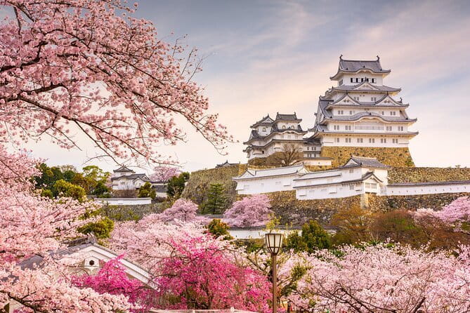 Kobe and Himeji A Journey Through Culture and History - Reviewing the Tours Ratings and Reviews