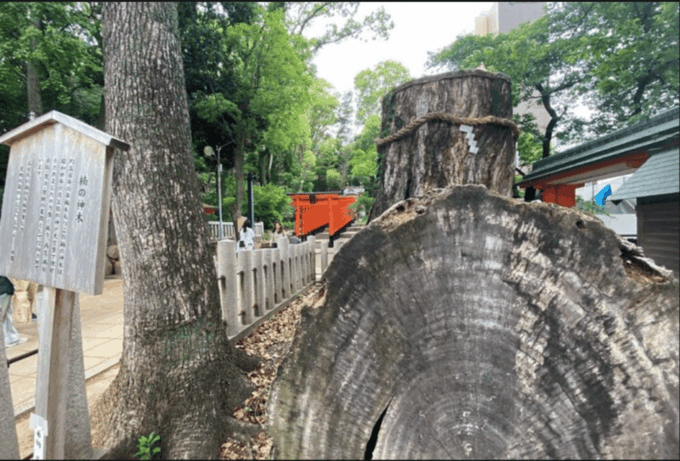 Kobe Guided Tour Including Port Area and Arima Onsen Town - Arima-onsen