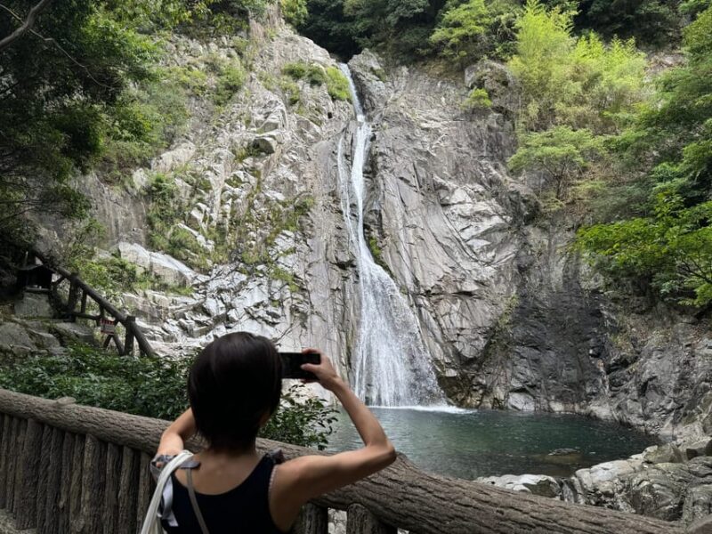 Kobe: Immerse Yourself in the History and Nature of Kobe - Inclusions and Exclusions Breakdown