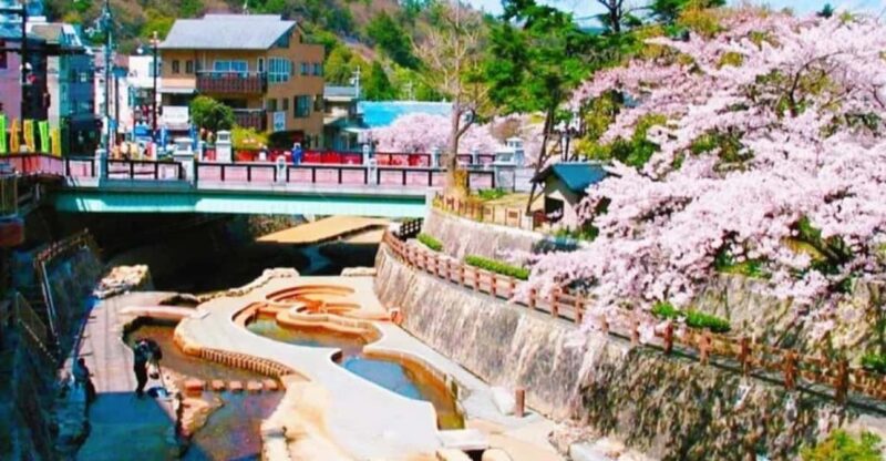 Kobe Mt Rokko View, Kitano Ijinkan, & Arima Onsen Day Trip - Exploring Kobe Port