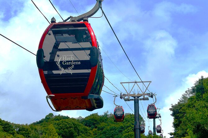 Kobe Private Custom Tour - Customizable Itinerary Options