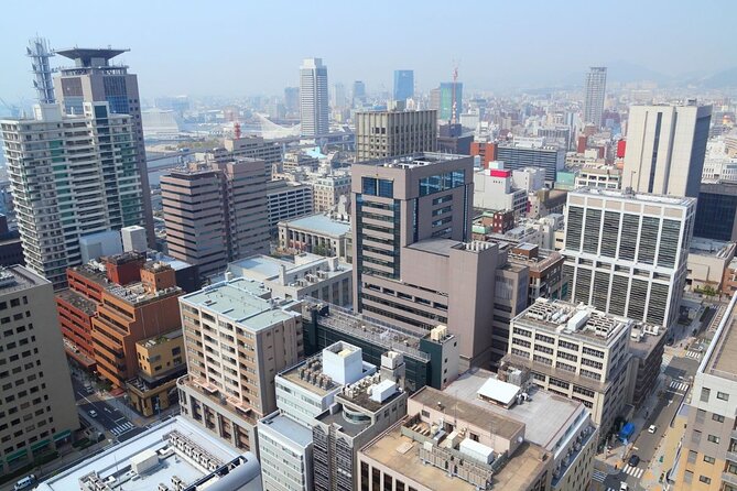 Kobe: Private Custom Tour (Excursion to Osaka / Kyoto Possible) - Pickup and Transportation