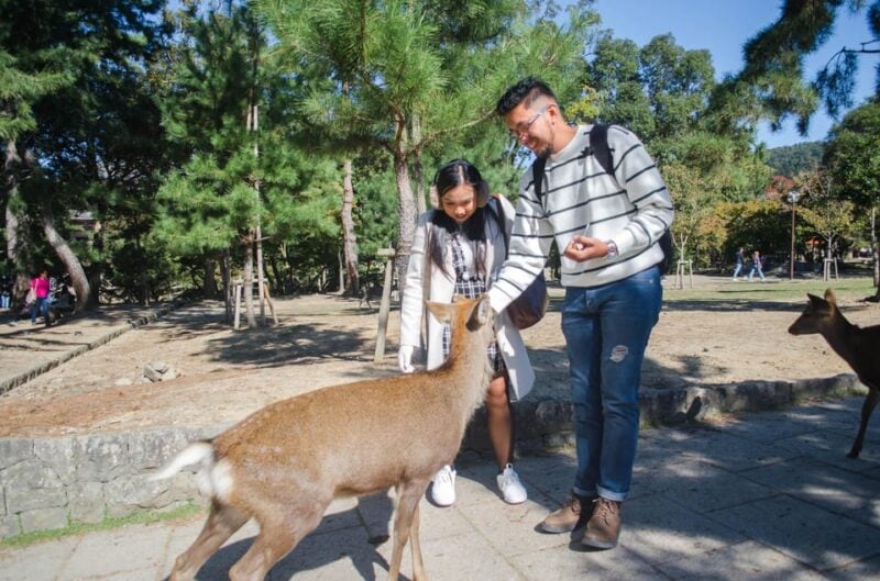 Kobe: Private Shore Excursion to Kyoto, Osaka, or Nara - FAQ