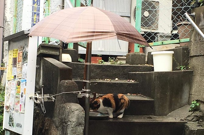 Kobe, Shioya, a Quaint Fishing Town Walking Tour - Accessibility