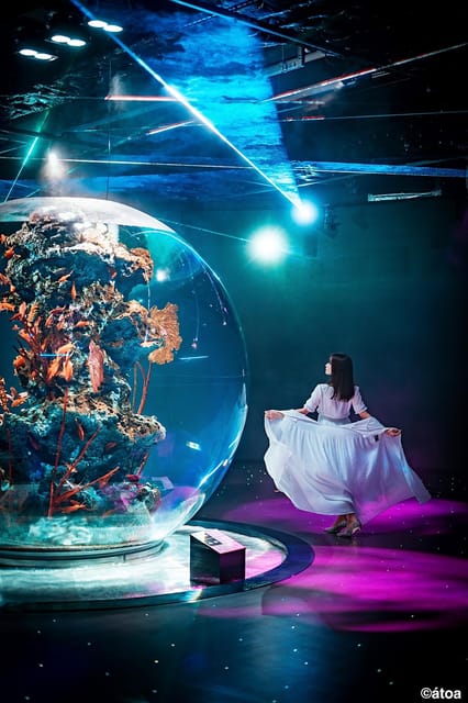 Kobe Urban Aquarium Aquarium×art Átoa Admission Ticket - Customer Feedback