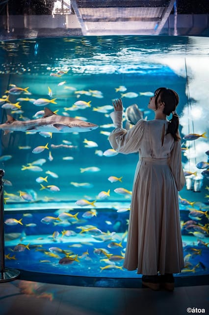 Kobe Urban Aquarium Aquarium×art Átoa Admission Ticket - Frequently Asked Questions