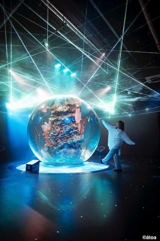 Kobe: Urban Aquarium AQUARIUM×ART átoa Entry Ticket - Key Points