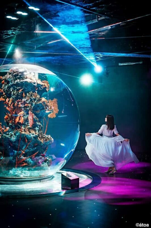 Kobe: Urban Aquarium AQUARIUM×ART átoa Entry Ticket - Final Thoughts