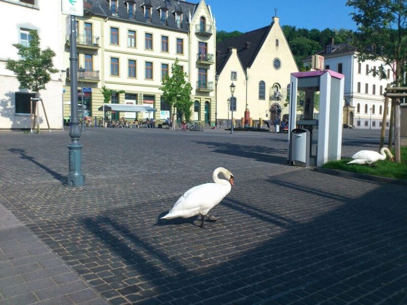 Koblenz: Private Guided Walking Tour - Key Points