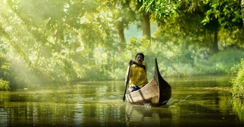 Kochi: Highlights of South India 7-Day Trip - Wildlife and Nature Experiences