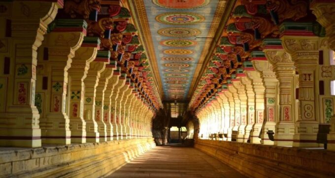 Kochi: Highlights of South India 7-Day Trip - Backwaters and Kumarakom