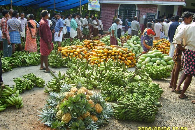 Kochi ( India) Shore Excursions Pick & Drop @ Ship - Kochi Port Cruise Terminal