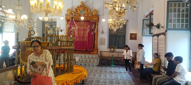 Kochi Over View & Kathakali & Dinner Tour - Key Points